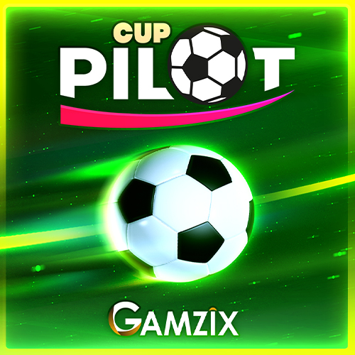 Pilot Cup