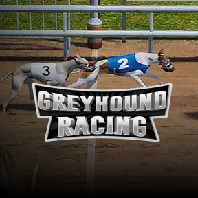 Greyhound Racing