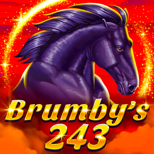 Brumby's 243