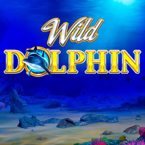 Wild Dolphin