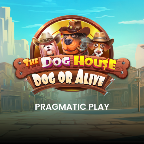 The Dog House - Dog or Alive
