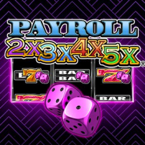 Payroll 2x3x4x5x