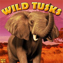 Wild Tusks