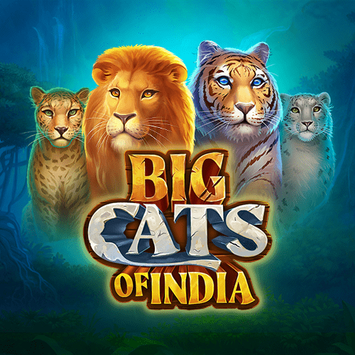 Big Cats of India