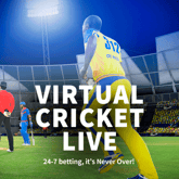 Virtual Cricket Game image