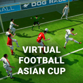 Asian Cup Game image