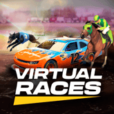 Virtual Races Game image