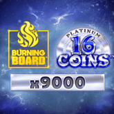 16 Coins™ Platinum Burning Board™ Game image