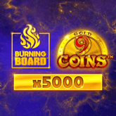 9 Coins Gold Burning Board Game image