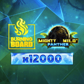 Mighty Wild™ Panther Diamond Burning Board™ Game image