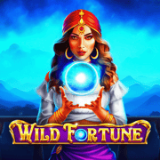 Screenshot of Wild Fortune slot game on the app