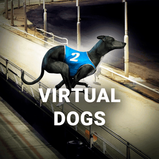 Virtual Dogs