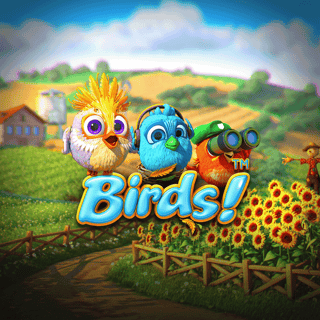 Birds!