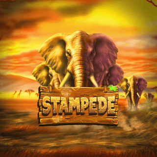 Stampede