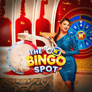 The Bingo Spot