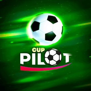 Pilot Cup