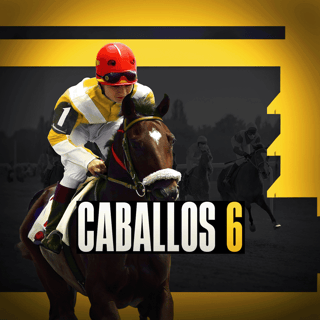 Horses 6