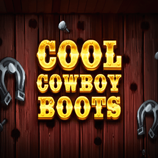 Cool Cowboy Boots