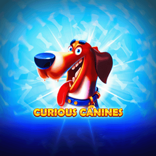 Curious Canines