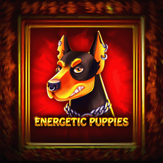 Energetic Puppies
