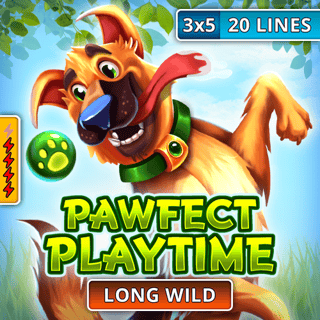 Pawfect Playtime