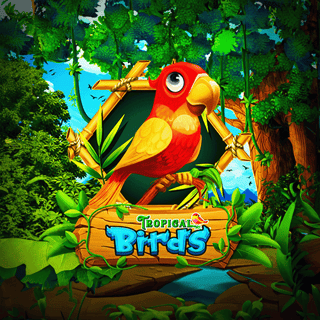 Tropical Birds