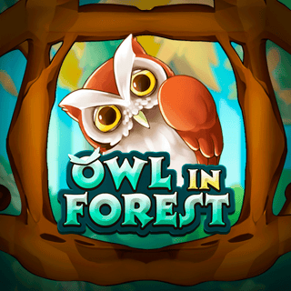 Owl In Forest