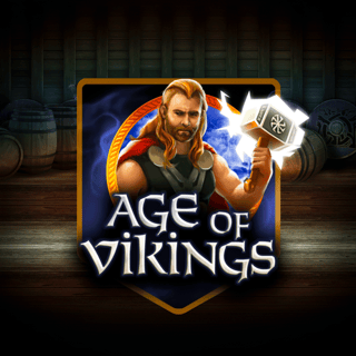 Age of Vikings