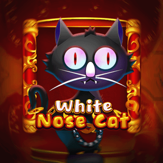 White Nose Cat