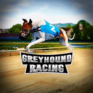 Greyhound Racing