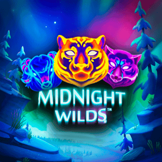 Midnight Wild