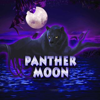 Panther Moon