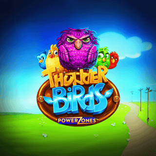 Power Zones™: Thunder Birds