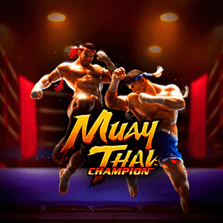 Muay Thai Champion
