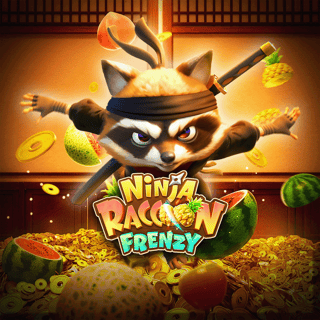Ninja Raccoon Frenzy