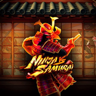 Ninja vs Samurai
