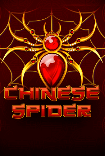 Chinese Spider