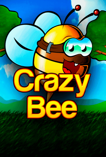 Crazy Bee
