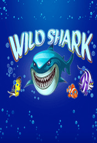 Wild Shark