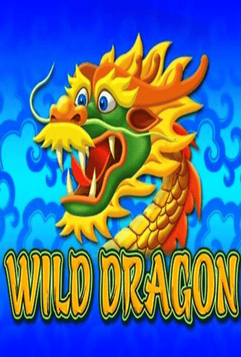 Wild Dragon