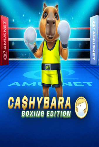 Cashybara Boxing Edition