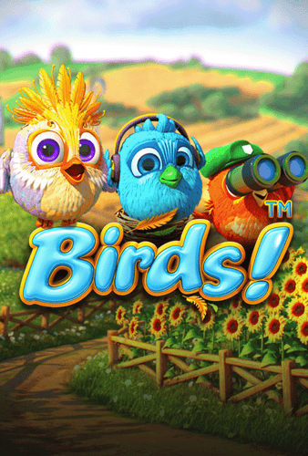Birds!