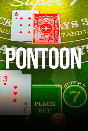 Pontoon 21