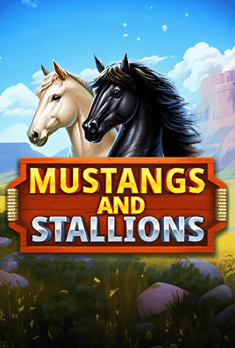 Mustang and Stallions