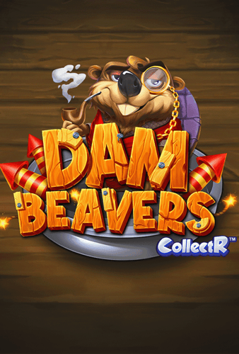 Dam Beavers
