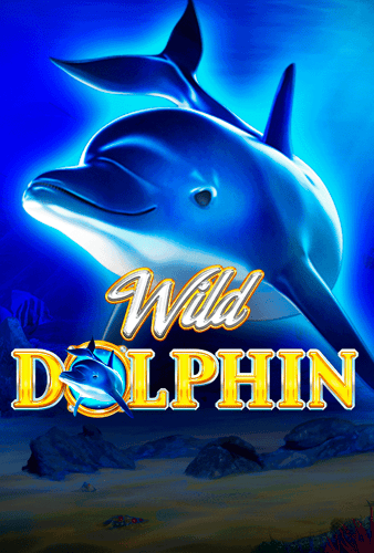 Wild Dolphin