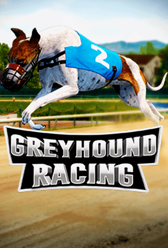 Greyhound Racing