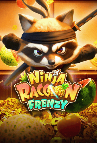 Ninja Raccoon Frenzy