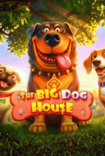 The Big Dog House