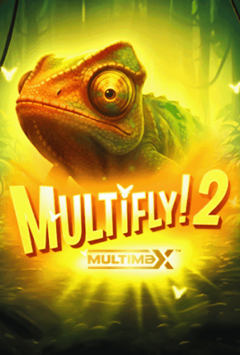 Multifly! 2 MultiMax